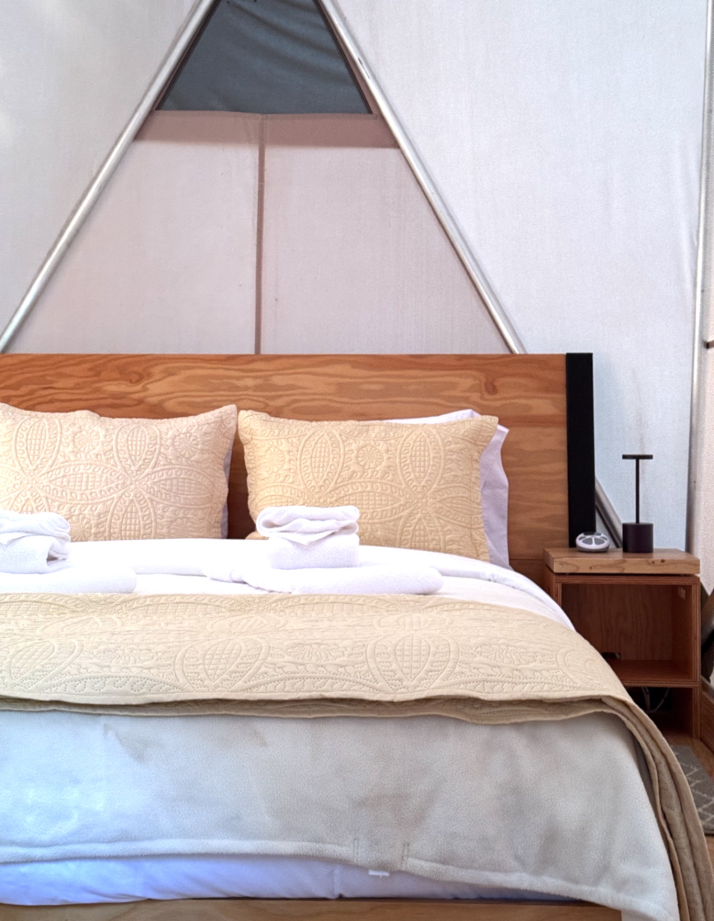 Inside a private eco pod among the redwoods